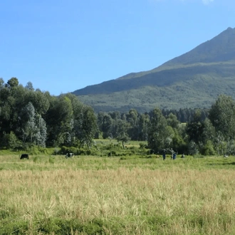 tourhub | Kingfisher Journeys | 3 Days Volcanoes & Lake Kivu Adventures 