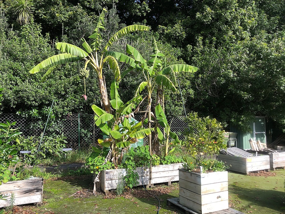 Banana Boxes @ Gribblehirst Park