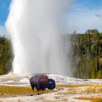 tourhub | On The Go Tours | Yellowstone Camping Adventure - 7 days 