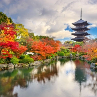 tourhub | Travel Department | Highlights of Japan 