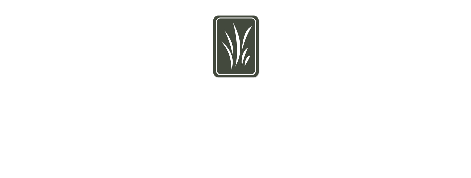 Alternative Choice Logo