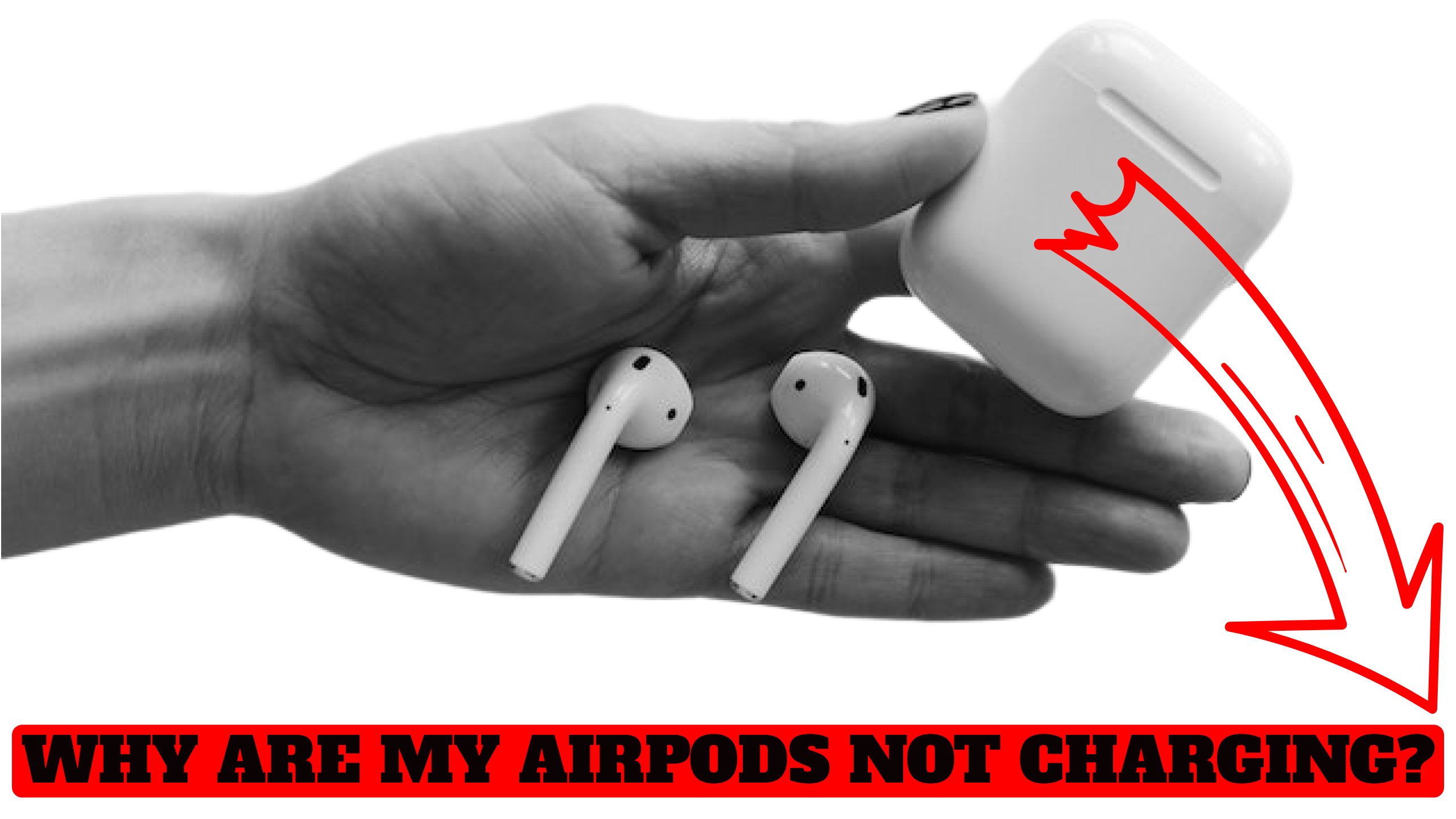 Why Are My AirPods Not Charging?