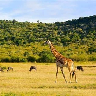 tourhub | The Mzansi Experience | 3-Day Kruger National Park Big 5 Backpacking Safari 