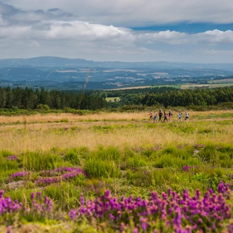 tourhub | G Adventures | Camino de Santiago Encompassed 