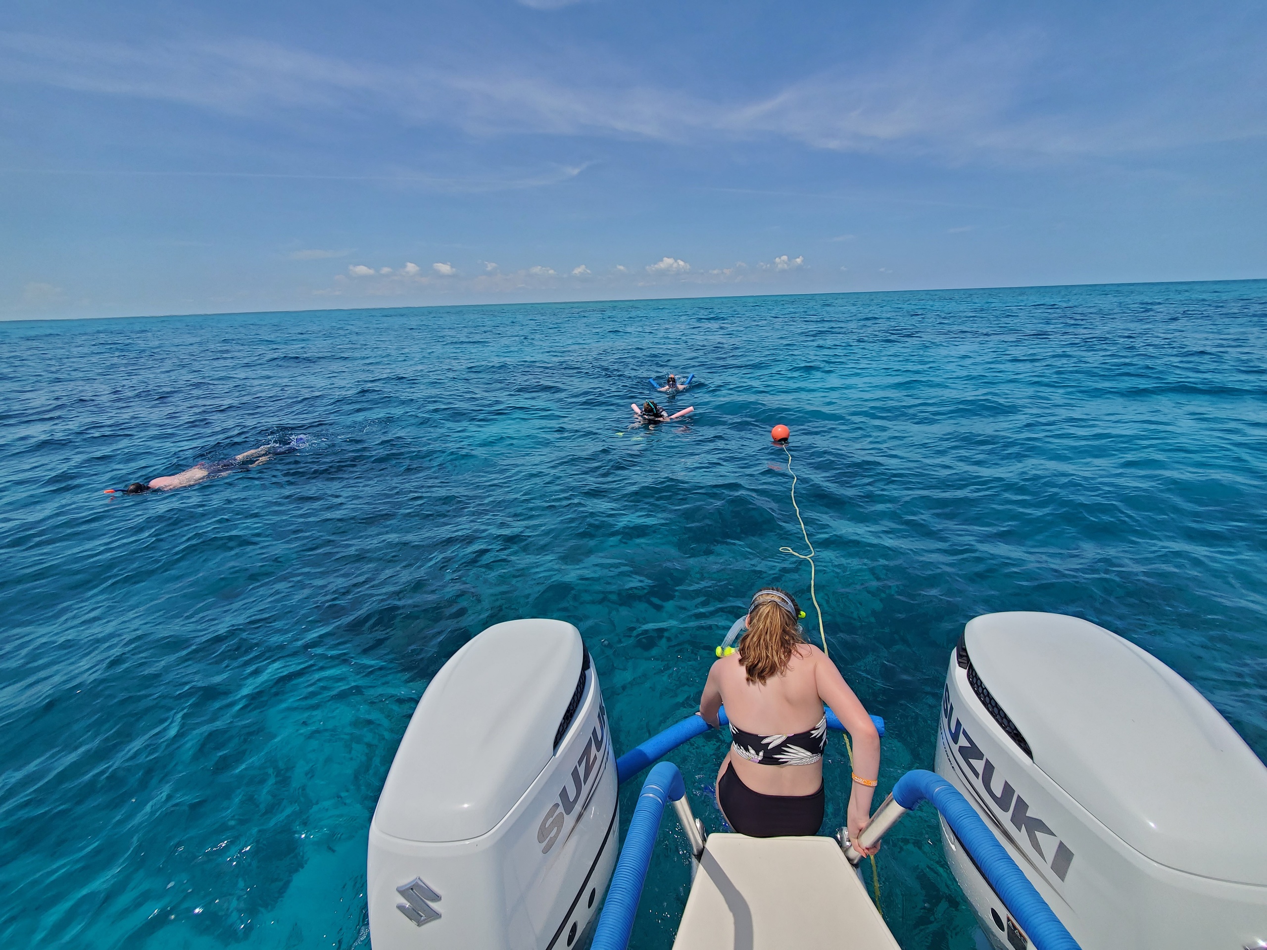 3.5 Hour Private Reef Snorkel & Eco Tour