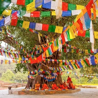 tourhub | Jee Tours | Cover the Buddhist Trail with Nepal on a 14-Day Journey from Delhi . 