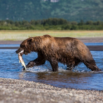 tourhub | G Adventures | Alaska Family Journey: Wilderness Explorer 