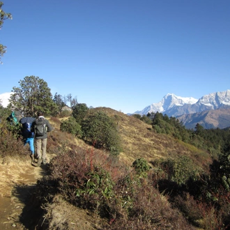 tourhub | Alpinist Club | Annapurna Poon Hill and Khopra Ridge Trek 