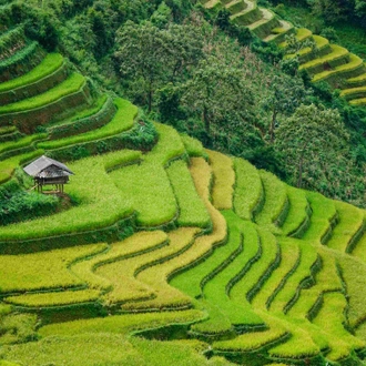 tourhub | Exodus Adventure Travels | Hidden Vietnam: Sapa & Beyond 