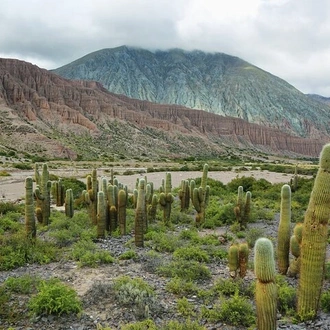 tourhub | Signature DMC | 4-Days Discovering Salta - Nature & Adventure from Buenos Aires 