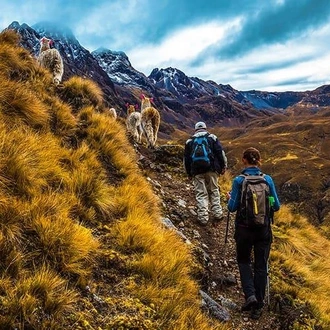 tourhub | Bamba Travel | Ultimate Inca Trail Trek to Machu Picchu 4D/3N 