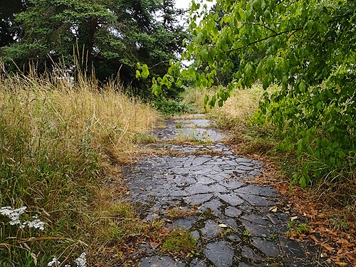 Représentation de la formation : PAYSAGE - Prendre en compte les enjeux de la biodiversité dans un projet d’aménagement paysager