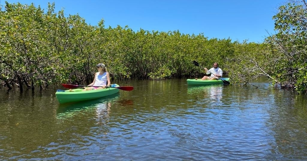 Tarpon Springs Guided Eco Tours