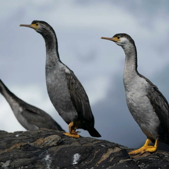 tourhub | Heritage Expeditions | Unseen Fiordland and Stewart Island 