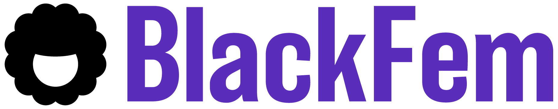 BlackFem Inc. logo