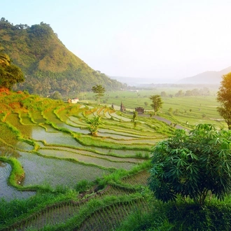 tourhub | Indus Travels | Magic of Bali And Ubud 