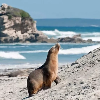 tourhub | Trafalgar | Great Ocean Road and Kangaroo Island 