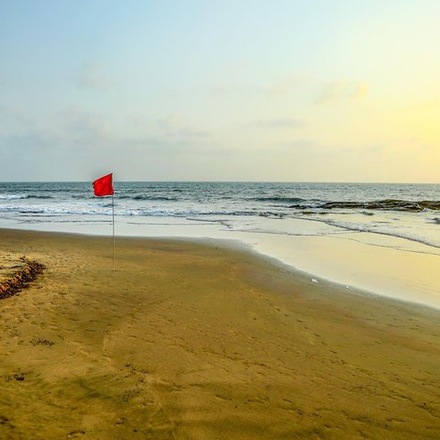 Hubli to Anshi National Park (Kali Tiger Reserve) & Goa Beach Tour