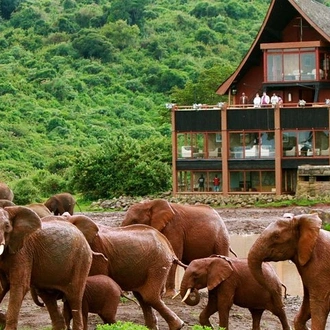 tourhub | Gracepatt Ecotours Kenya | Private 5 Day Aberdare Lake Nakuru and Masai Mara Safari from Nairobi 