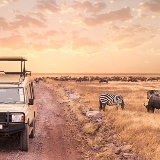 tourhub | Alaitol Safari | 7 Days Best of Tanzania Safari 