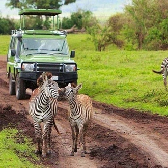 tourhub | Tilman Safaris | Kenya Wildlife Safari 