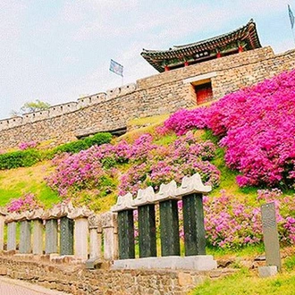 tourhub | Bamba Travel | South Korea Highlights 7D/6N 