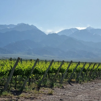 tourhub | Signature DMC | 4-Days Experiencing Mendoza - Secrets of Wine & Nature! 