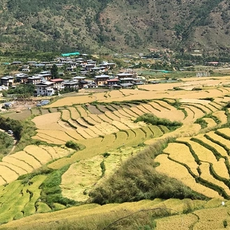 tourhub | Bhutan Acorn Tours & Travel | Bhutan Cultural Tour With 2-Day Trek in Bumthang Valley 