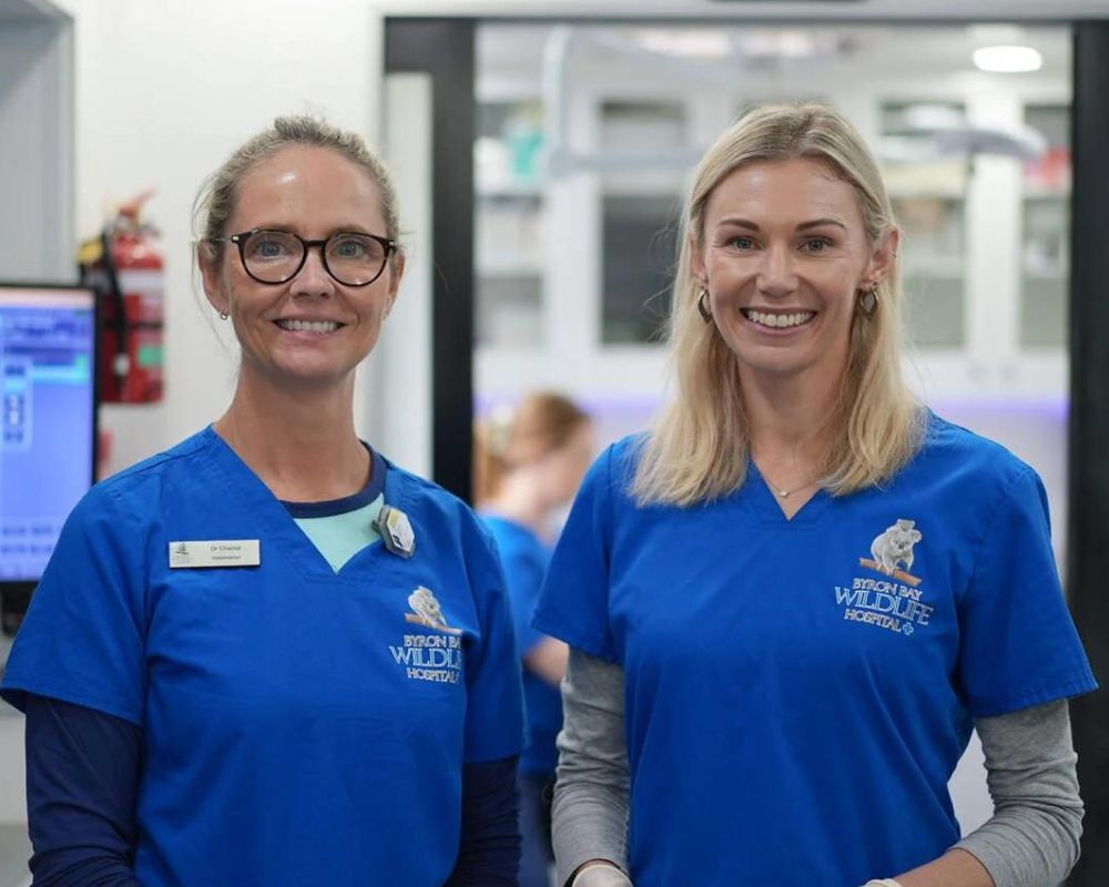 Veterinarians Dr Bree Talbot and Dr
    Chantal Whitten