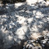Grave Sites 15,  Borgel Jewish Cemetery at Tunis, Tunisia, Chrystie Sherman, 7/19/16