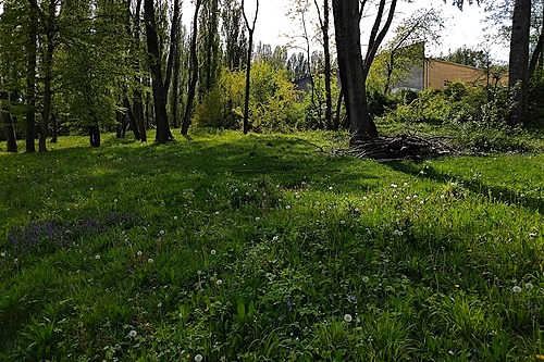 Représentation de la formation : Adaptation des modalités de gestion différenciée des espaces herbacés, gazons et prairies aux enjeux de biodiversité