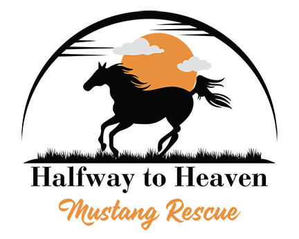 Halfway to Heaven Mustang Rescue logo