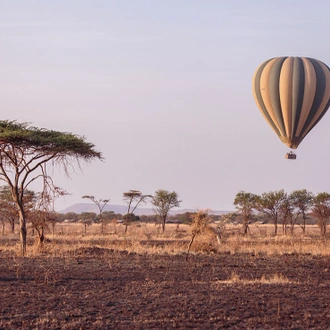 tourhub | Intrepid Travel | Premium Tanzania 