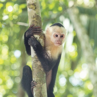 tourhub | G Adventures | Epic Central America: Seven Countries & the Softest Sand Ever 