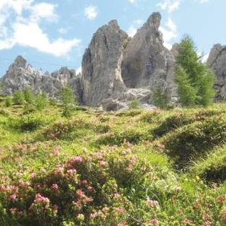 tourhub | UTracks | Dolomites Guided Walk 