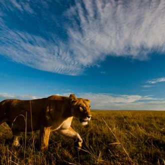 tourhub | Exodus Adventure Travels | Kenya Photographic Safari with Paul Goldstein - Premium Adventure 