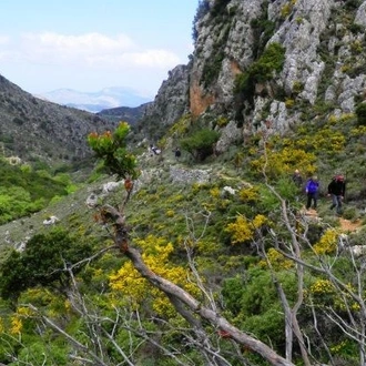 tourhub | Travel Editions | Walking in Western Crete Tour 