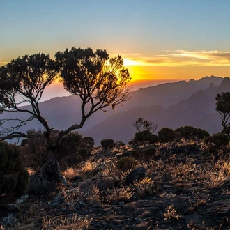 tourhub | Explore! | Kilimanjaro - Lemosho Trek 