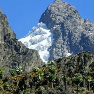 tourhub | Verdoro Safaris | Rwenzori Mountain and Bwindi Gorilla Safari 