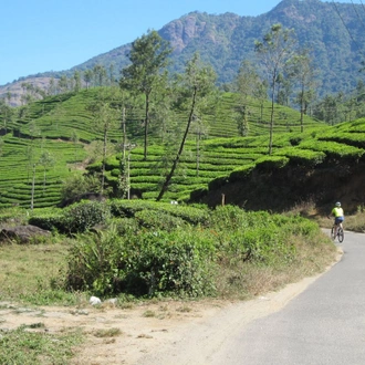 tourhub | SpiceRoads Cycling | Cycling Kerala's Backroads 