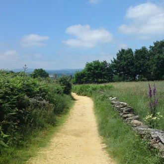 tourhub | Exodus Adventure Travels | Walking the Camino de Santiago 