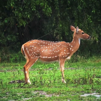 tourhub | Holidays At | Rajasthan with Wildlife Tour 