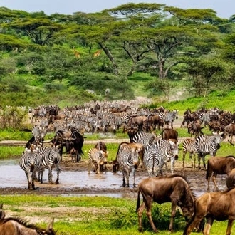 tourhub | Widerange African Safaris | 7 days Tanzania Budget/Midrange Safari by Widerange African Safaris 