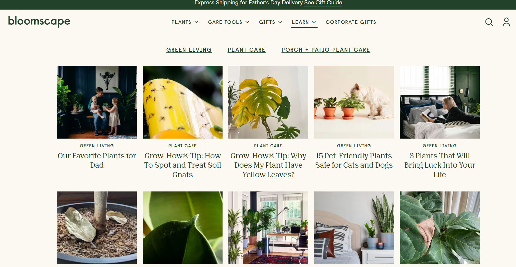 how to sell plants online