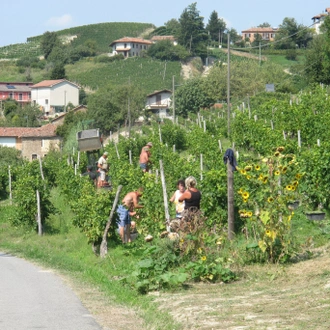 tourhub | Exodus Adventure Travels | Barolo Gastronomic Cycling 