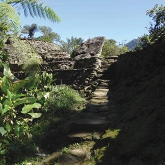 tourhub | World Expeditions | Colombia's Lost City Trek 