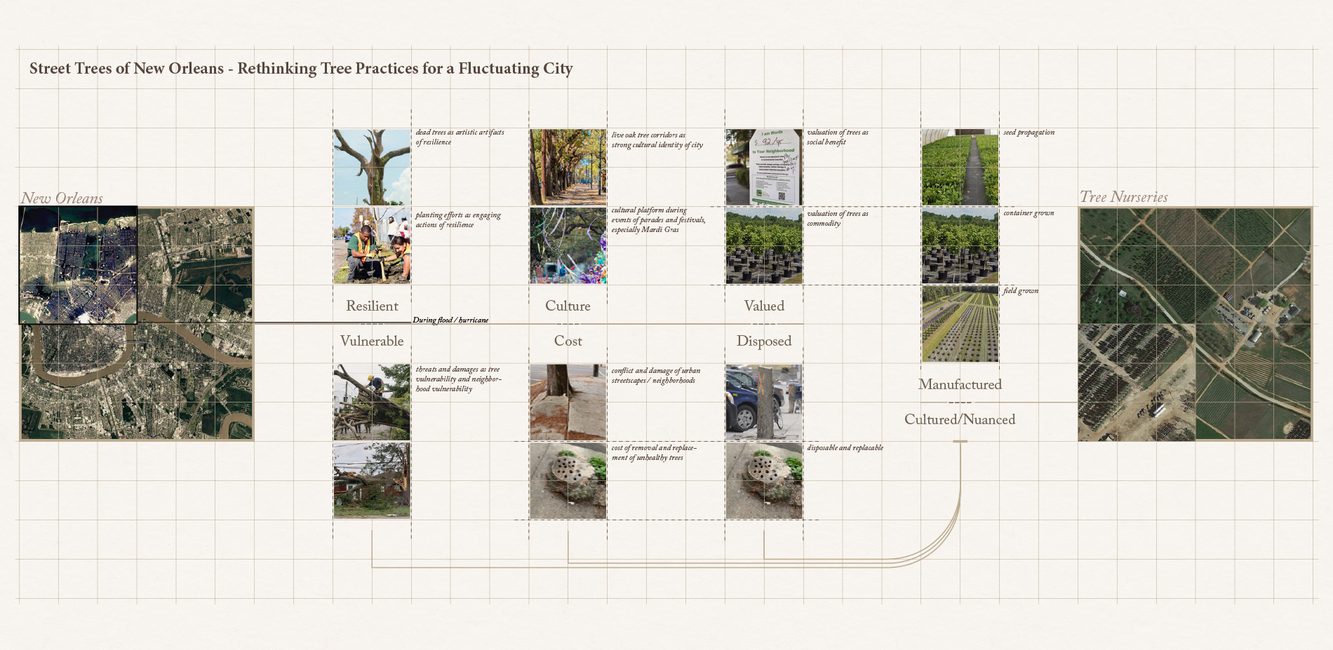 The Problem: Street Tree Practices in a Fluctuating City