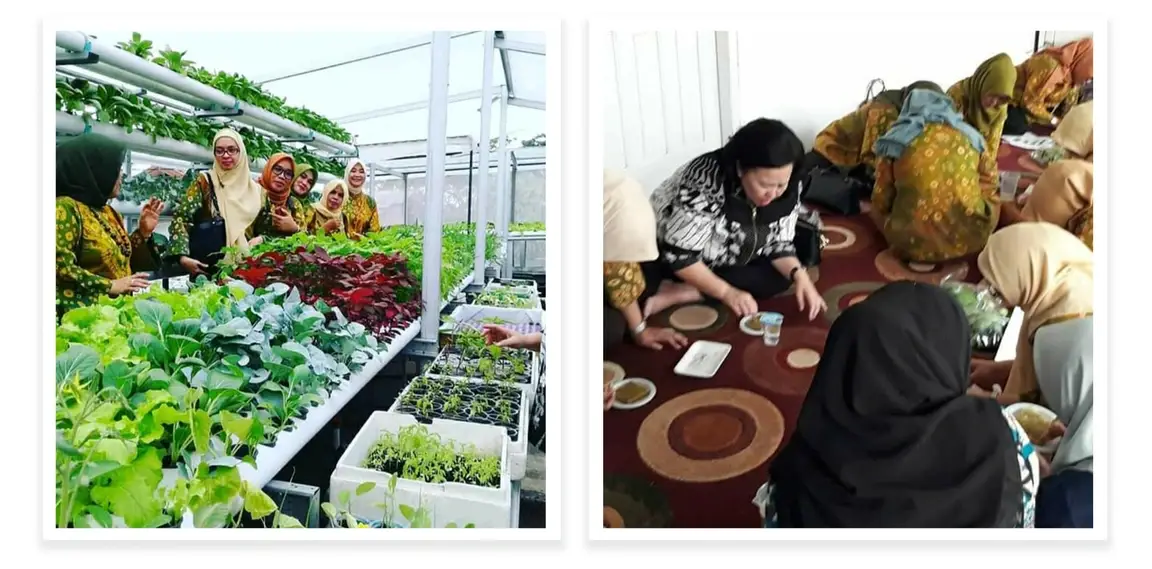 Josie Akar facilitates a hydroponics workshop for women in Indonesia