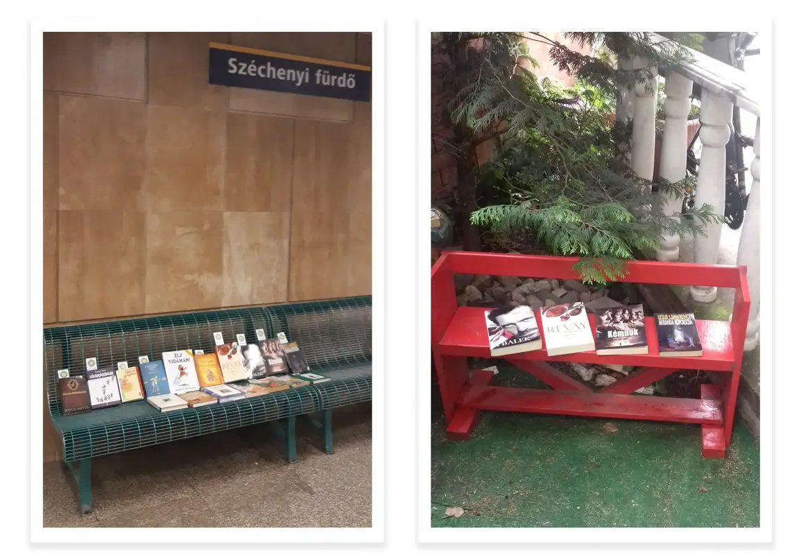 Magdolna e outros idealistas deixam livros em bancos por toda a sua comunidade em Budapeste.