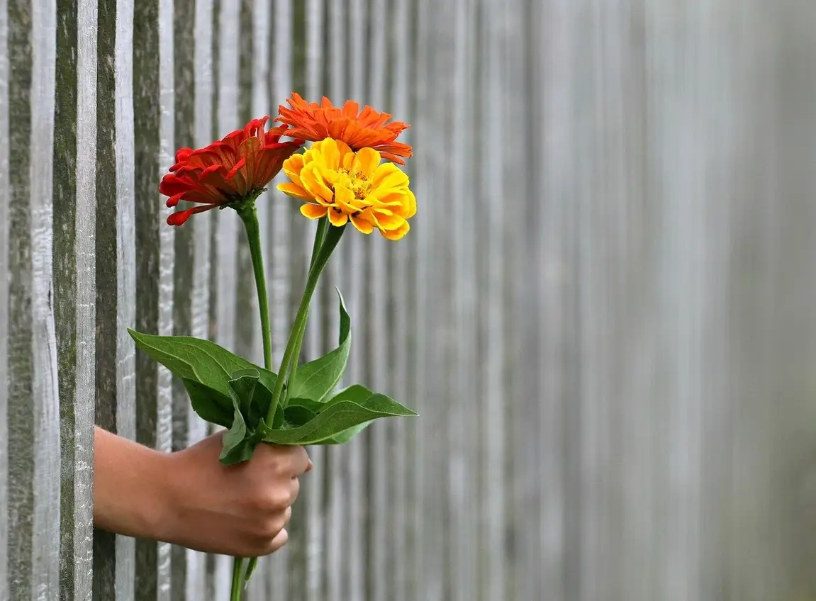 mano con ramos de flores